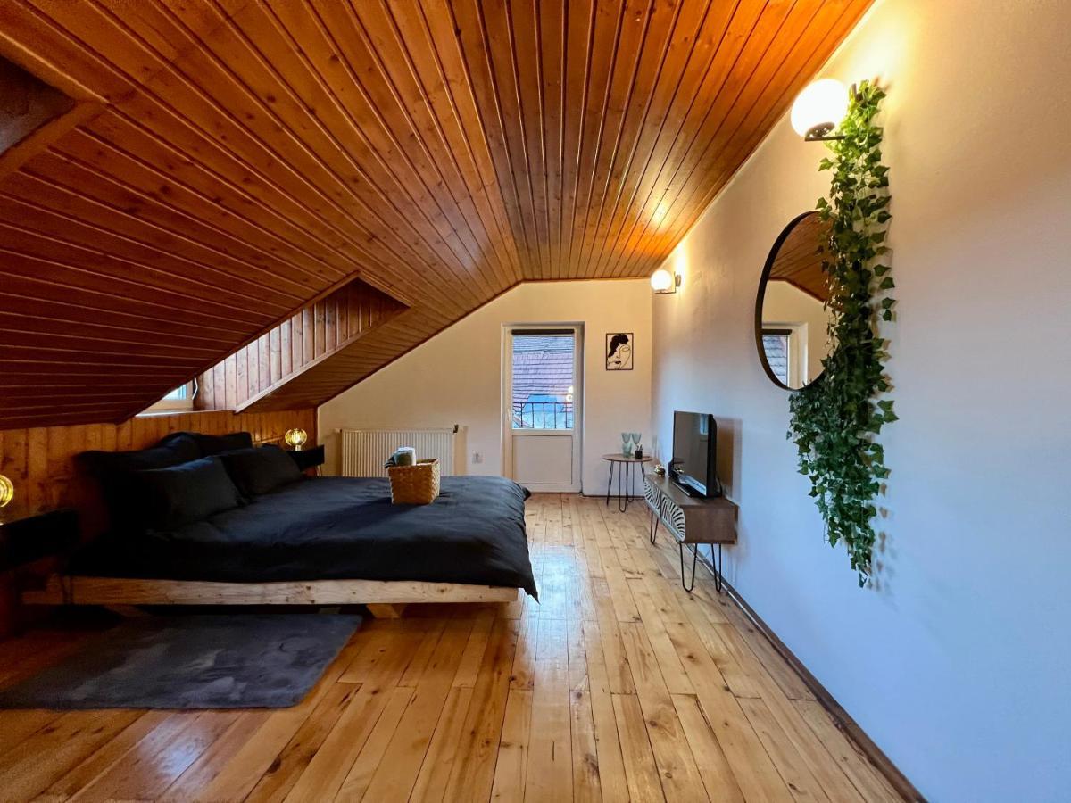Apartmán Nacada Studio By Hyco Sighişoara Exteriér fotografie